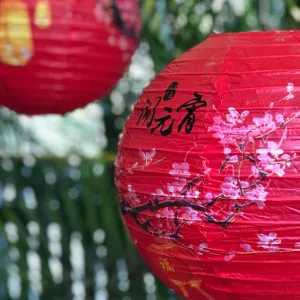 30cm Red Chinese New Year Cherry Blossom Paper Lantern