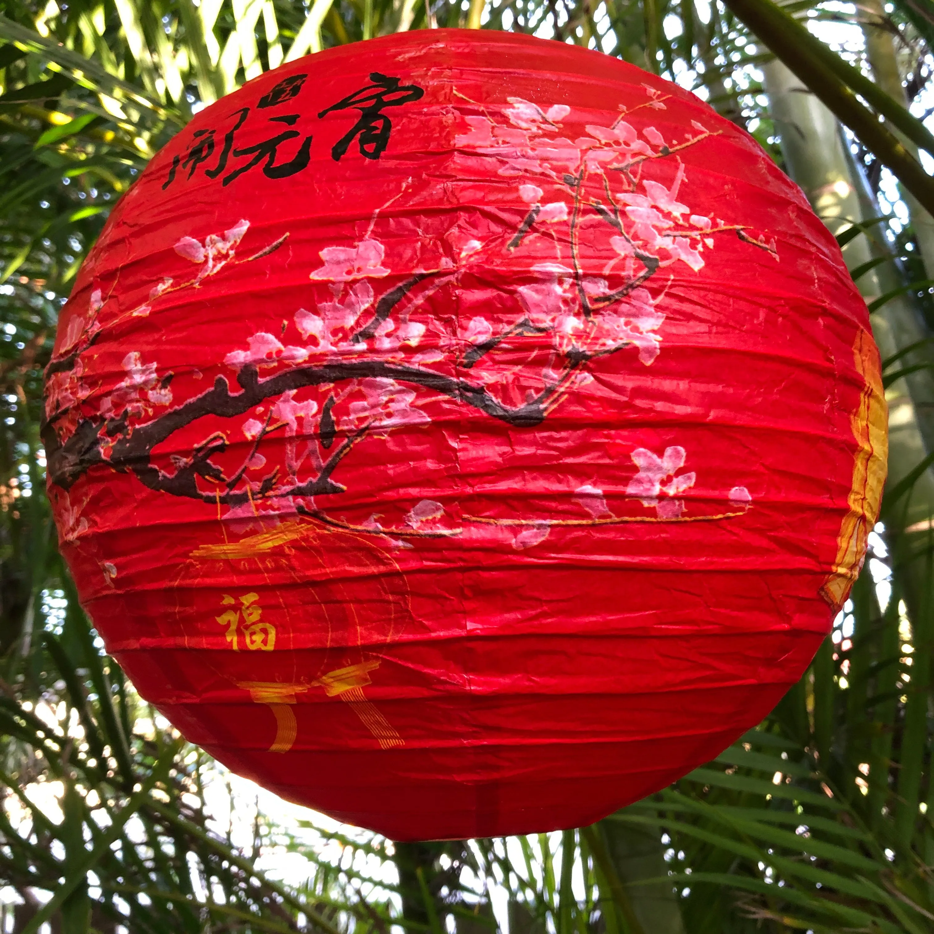 30cm Red Chinese New Year Cherry Blossom Paper Lantern