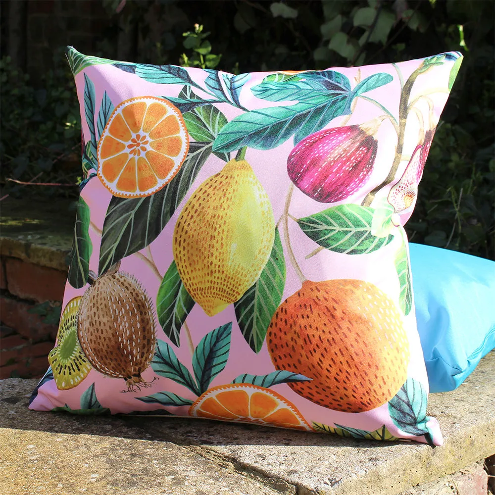 Citrus Outdoor Cushion Blush Pink