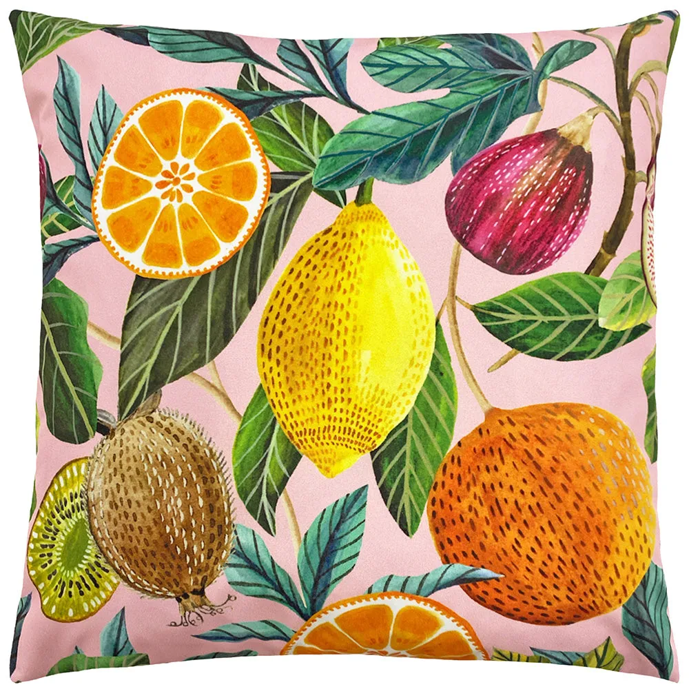 Citrus Outdoor Cushion Blush Pink