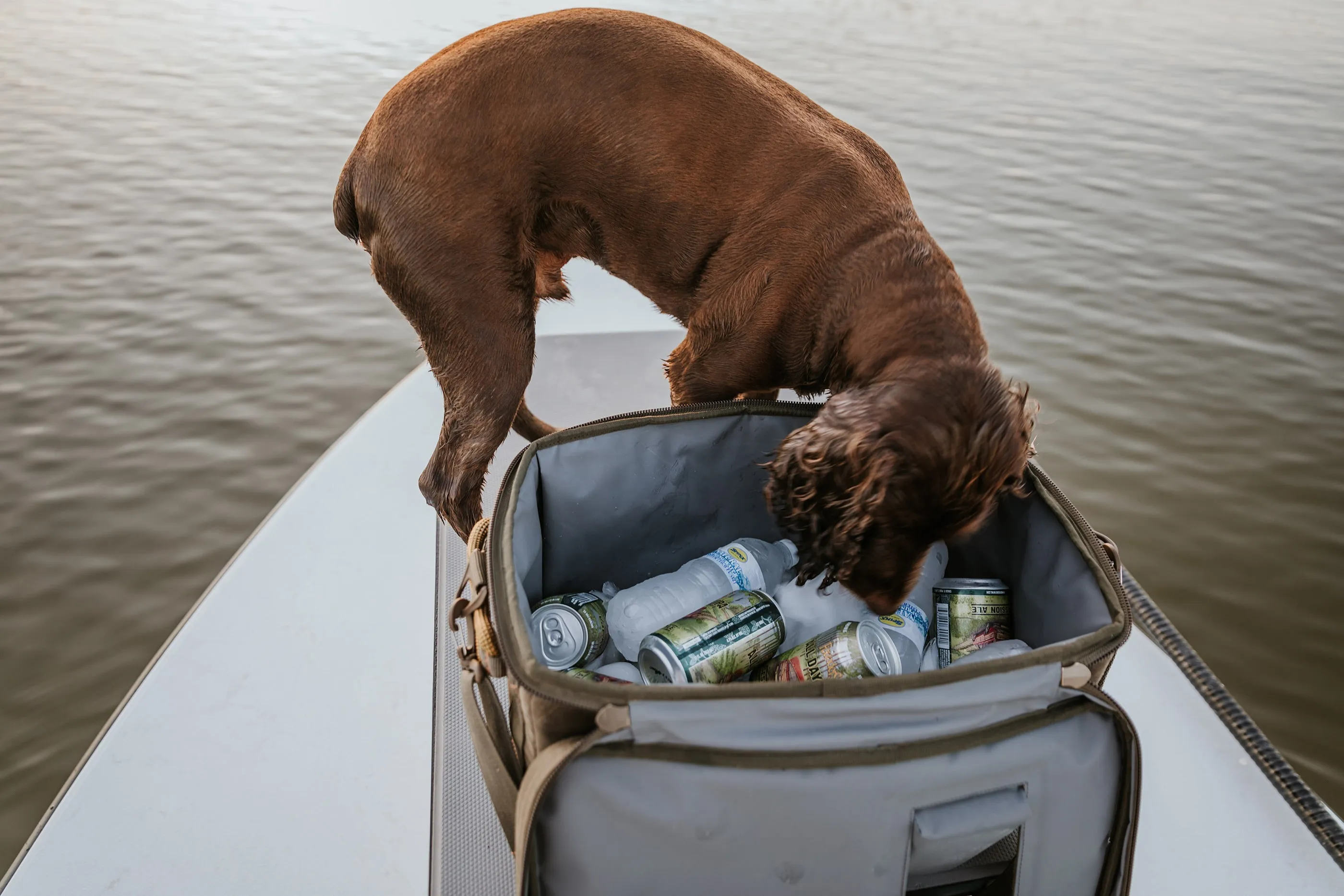 Fishpond Hailstorm Soft Cooler