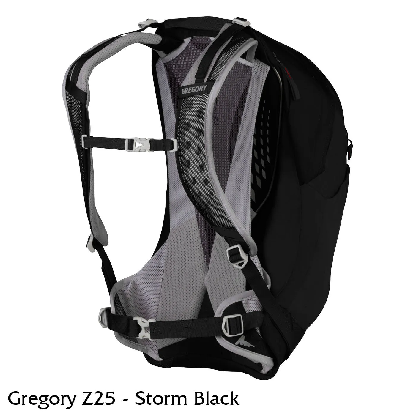 Gregory Z25 Pack